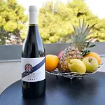 Penic * טרוגיר